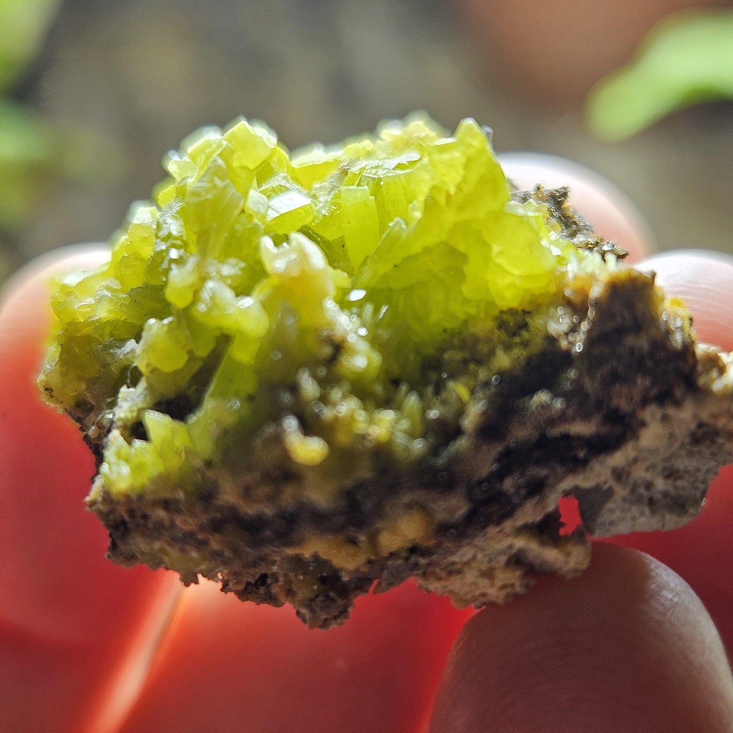 Pyromorphite Crystal Cluster, Rare Green Pseudomorph Specimen (35x30mm)