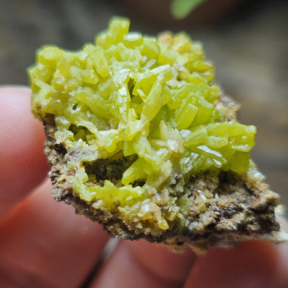 Pyromorphite Crystal Cluster, Rare Green Pseudomorph Specimen (35x30mm)