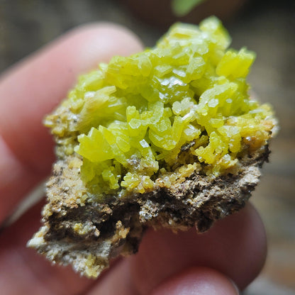 Pyromorphite Crystal Cluster, Rare Green Pseudomorph Specimen (35x30mm)