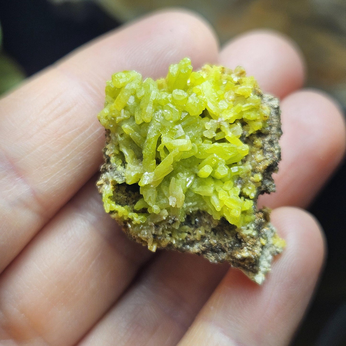 Pyromorphite Crystal Cluster, Rare Green Pseudomorph Specimen (35x30mm)