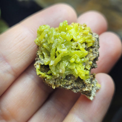 Pyromorphite Crystal Cluster, Rare Green Pseudomorph Specimen (35x30mm)