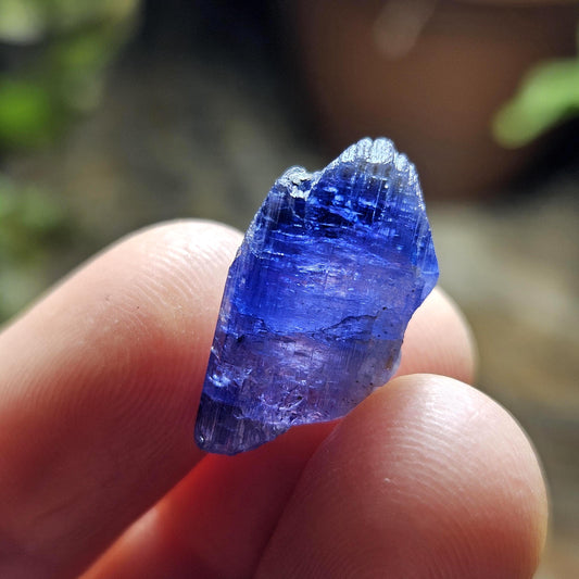 Blue Tanzanite Crystal 2.7g, Terminated Bicolor Tanzanite, Raw Natural Specimen