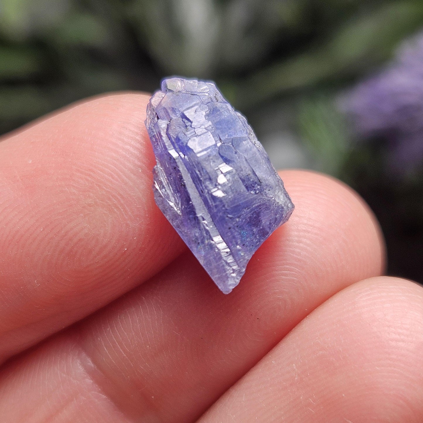 Rare Collector’s Set: Moldavite, Phenacite, Tanzanite, Ruby