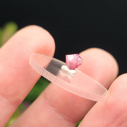 Bixbite Red Beryl Crystal from Utah .55ct, Red Emerald Gemstone
