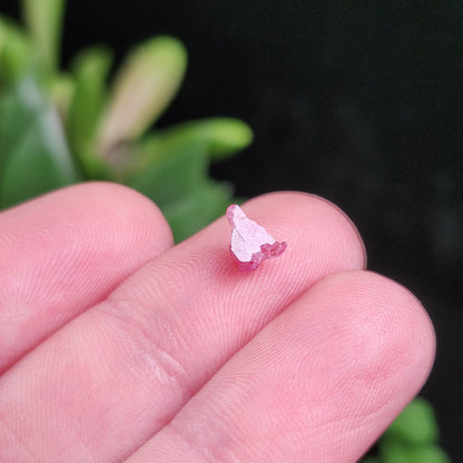 Bixbite Crystal, Terminated Red Beryl Crystal from Utah 0.5ct, Red Emerald Bixbite Gem