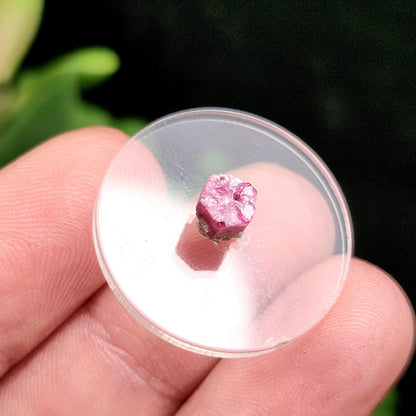 Bixbite Red Beryl Crystal from Utah 1.1ct, Authentic Raw Bixbite Specimen