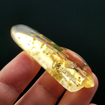 Amber with Bugs & Static ENHYDRO 30g, UV Reactive Natural Amber Fossil with Insect Inclusions