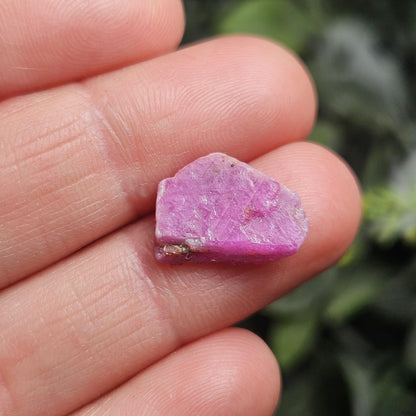 Rare Collector’s Set: Moldavite, Phenacite, Tanzanite, Ruby