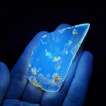 Amber with Bugs, Static ENHYDRO Bubbles and Natural Hole Inclusion 9.48g, Natural Amber Fossil with Insects
