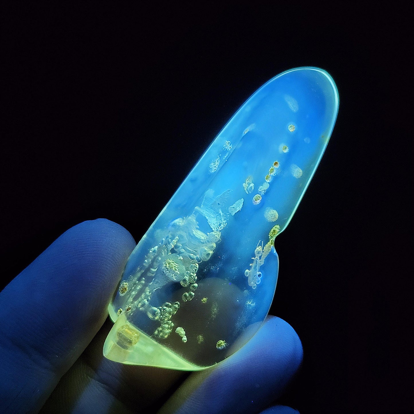 Amber with Bugs & Static ENHYDRO 30g, UV Reactive Natural Amber Fossil with Insect Inclusions