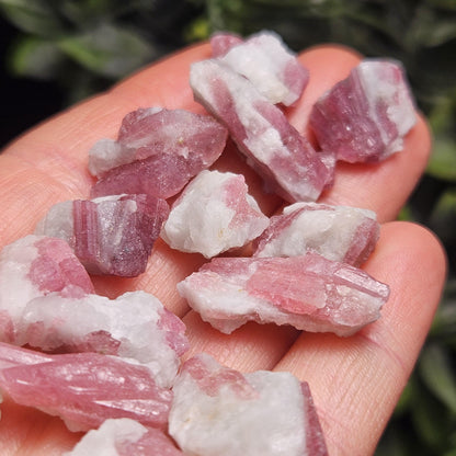 Pink Tourmaline & Quartz, Raw Crystal from Brazil
