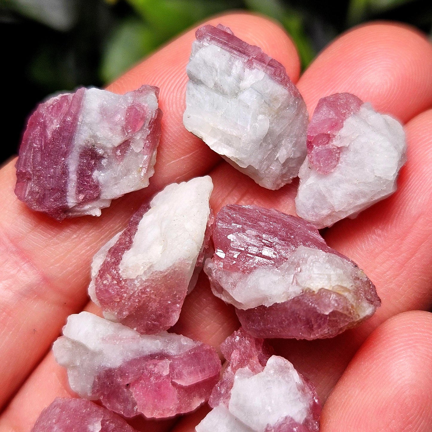 Pink Tourmaline & Quartz, Raw Crystal from Brazil