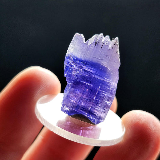 Terminated Tanzanite Crystal 5.8g, Raw Bicolor Tanzanite Specimen