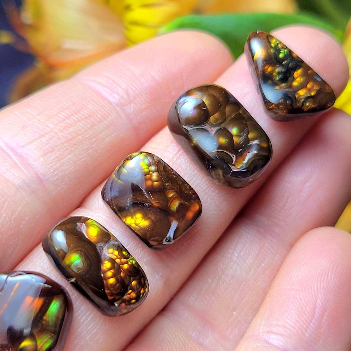Mexican Fire Agate, Rainbow Fire Agate Polished Specimens, Cabochon