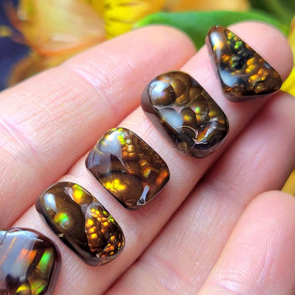 Mexican Fire Agate, Rainbow Fire Agate Polished Specimens, Cabochon