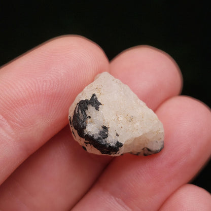 White Phenacite & Black Tourmaline Crystal 3.7g, Nigerian Phenakite with Black Tourmaline