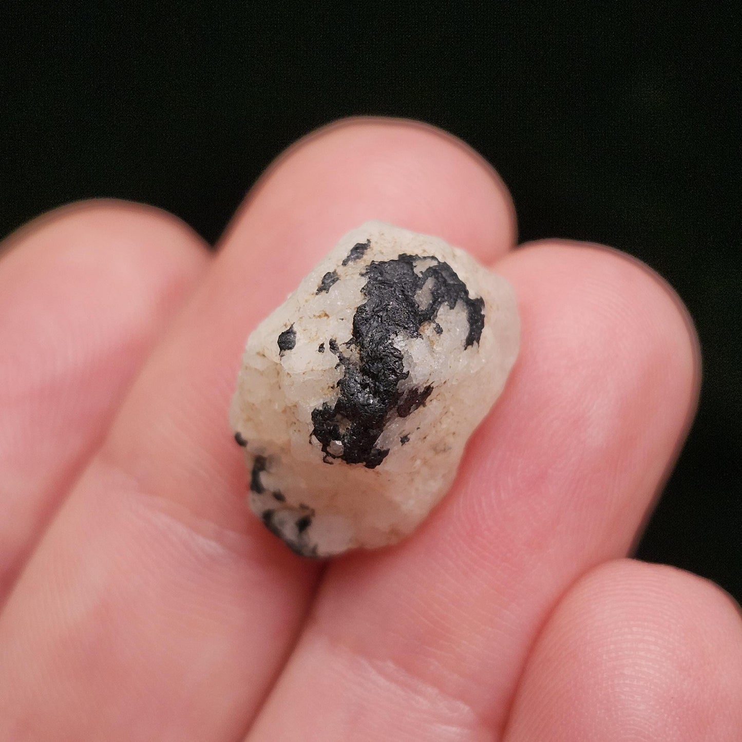 White Phenacite & Black Tourmaline Crystal 3.7g, Nigerian Phenakite with Black Tourmaline