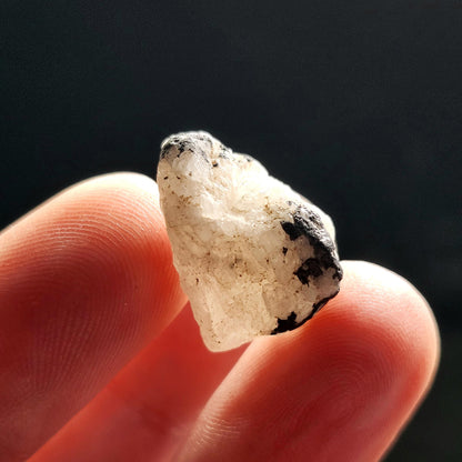 White Phenacite & Black Tourmaline Crystal 3.7g, Nigerian Phenakite with Black Tourmaline