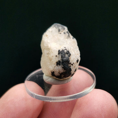 White Phenacite & Black Tourmaline Crystal 3.7g, Nigerian Phenakite with Black Tourmaline