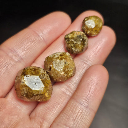 Mali Green Garnet Crystal, Raw Garnet Dodecahedron, Andradite & Grossular Specimens