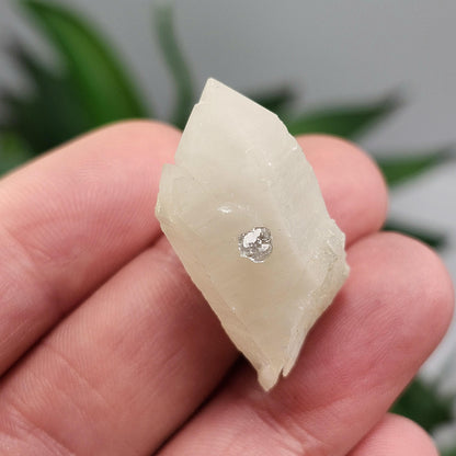 UV Reactive Fluorite on Quartz, Fluorescent Fluorite & Quartz