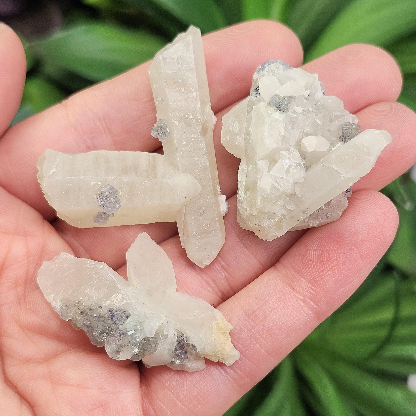 UV Reactive Fluorite on Quartz, Fluorescent Fluorite & Quartz