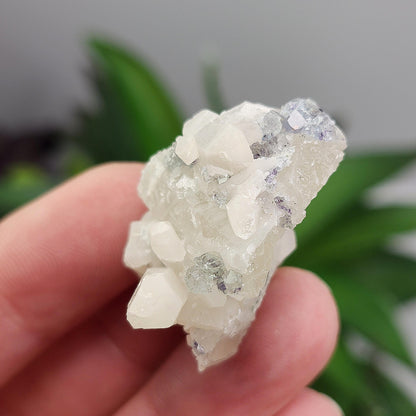 UV Reactive Fluorite on Quartz, Fluorescent Fluorite & Quartz