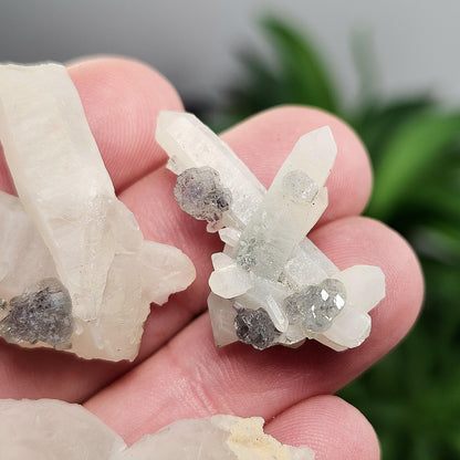 UV Reactive Fluorite on Quartz, Fluorescent Fluorite & Quartz