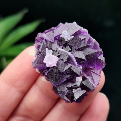 Cubic Purple Fluorite Cluster: UV Reactive, Violet Fluorite Mineral Specimen