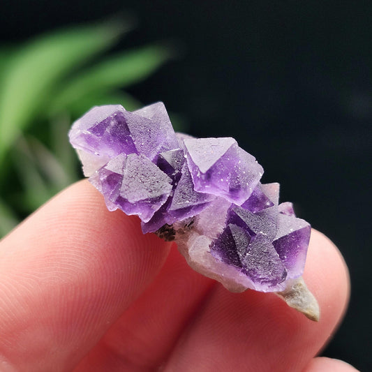 Cubic Purple Fluorite Cluster: UV Reactive, Violet Fluorite Mineral Specimen