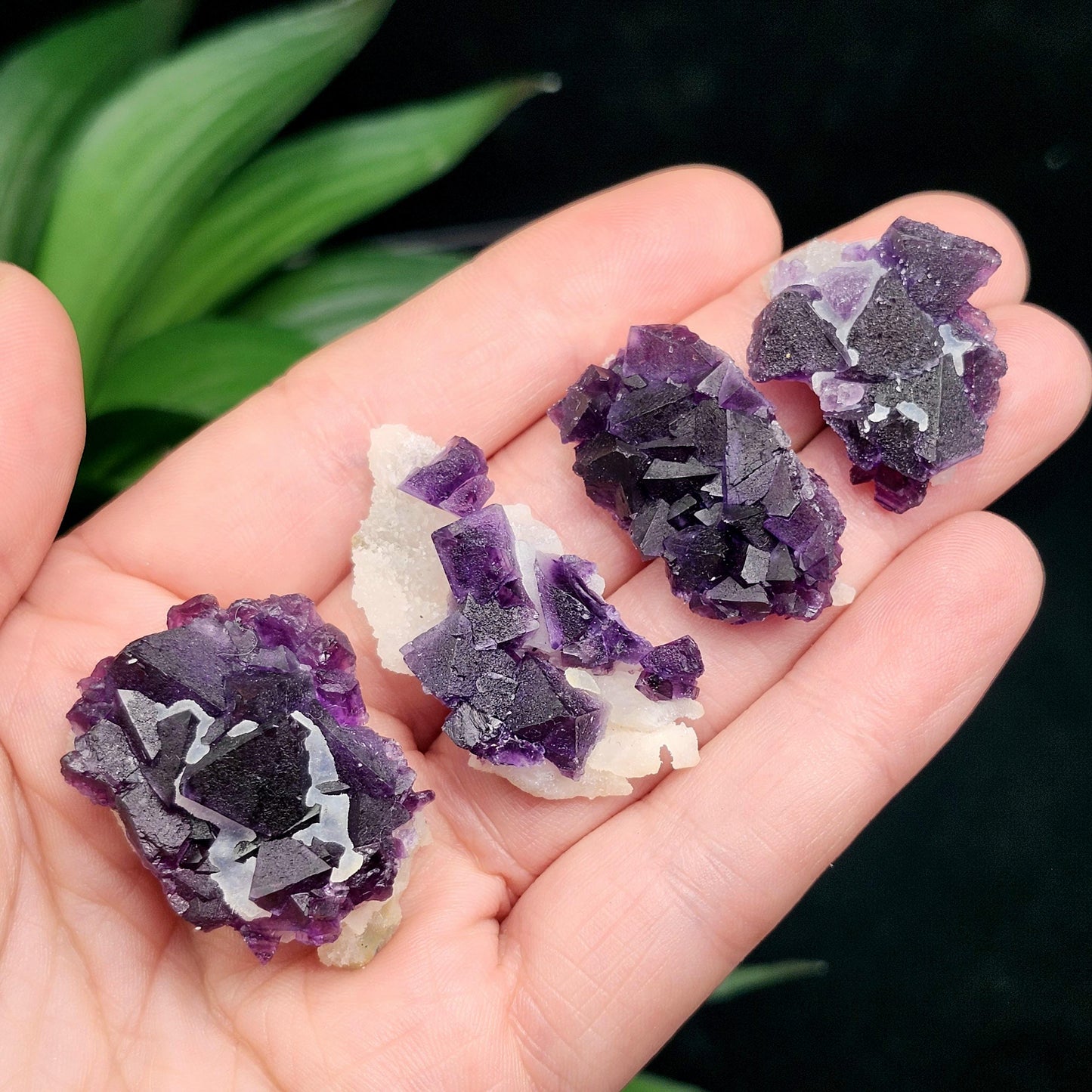 Cubic Purple Fluorite Cluster: UV Reactive, Violet Fluorite Mineral Specimen
