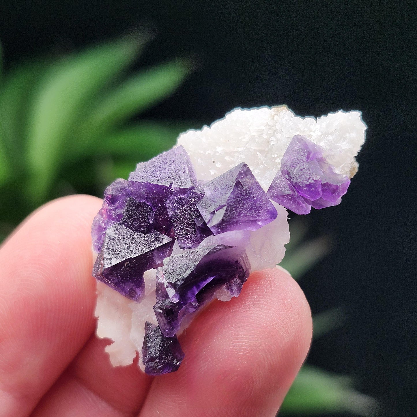 Cubic Purple Fluorite Cluster: UV Reactive, Violet Fluorite Mineral Specimen