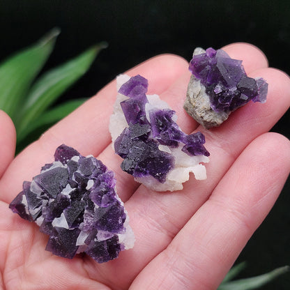Cubic Purple Fluorite Cluster: UV Reactive, Violet Fluorite Mineral Specimen