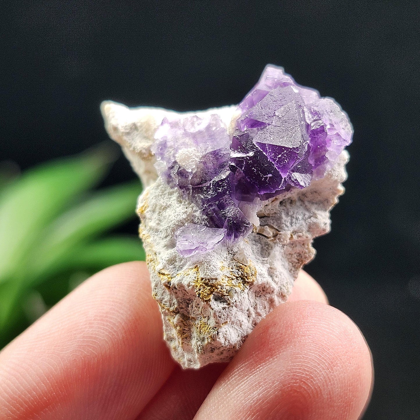 Cubic Purple Fluorite Cluster: UV Reactive, Violet Fluorite Mineral Specimen
