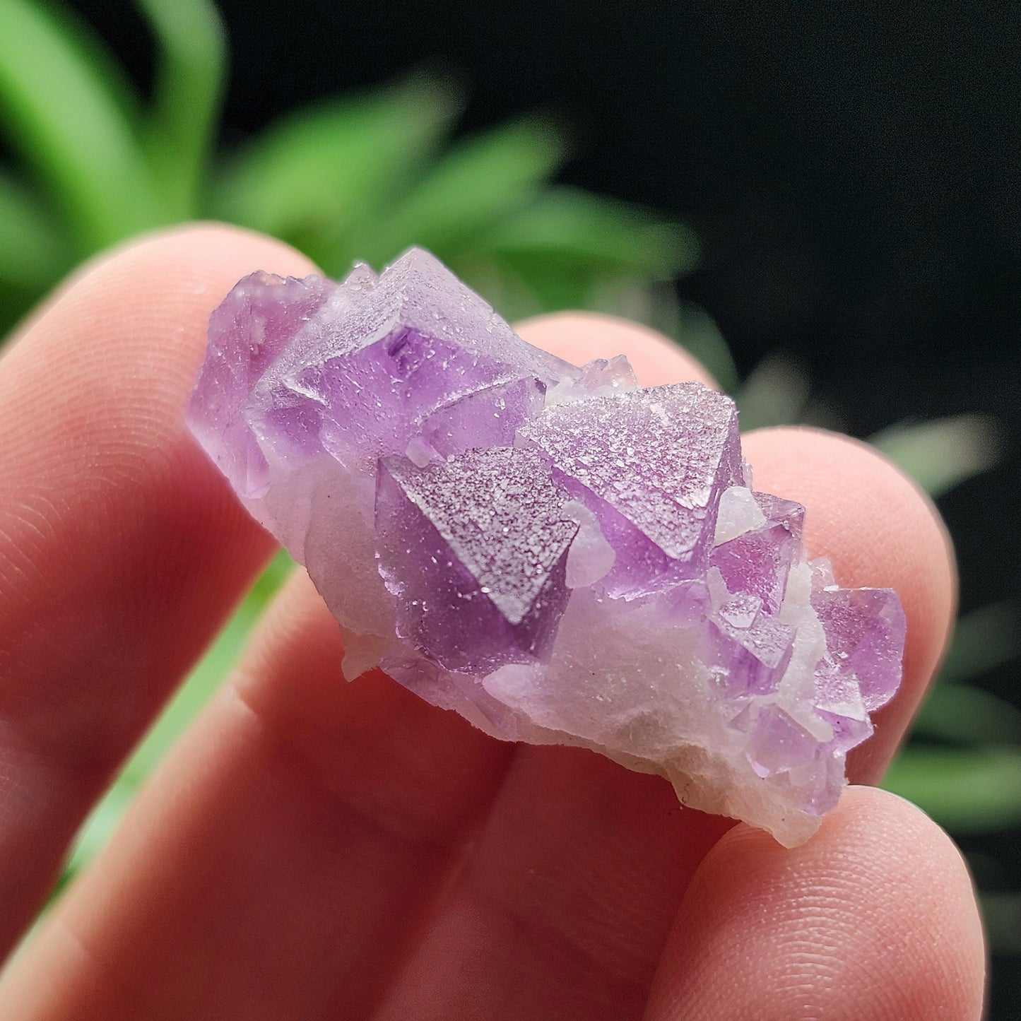 Lavender Purple Fluorite Cluster: UV Reactive, Fluorite with Calcite Mineral Specimen