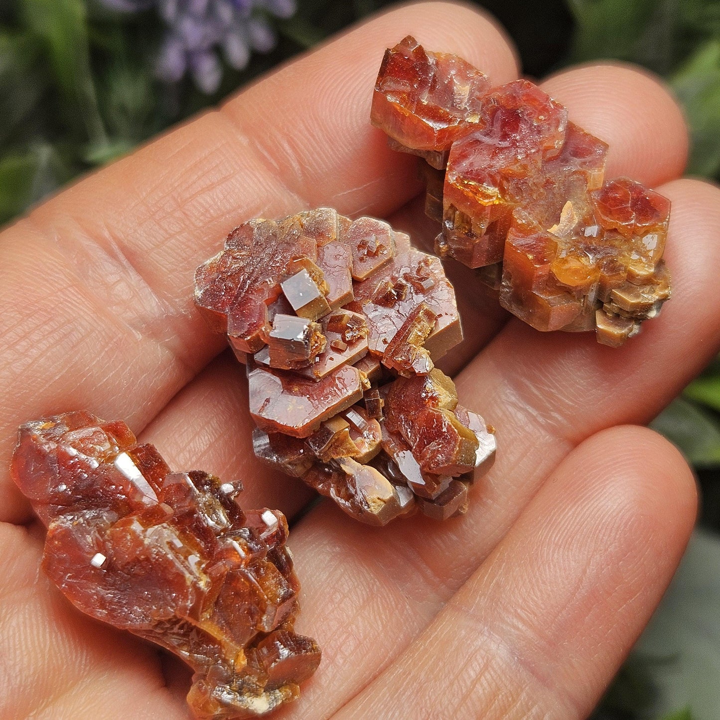 Vanadinite Cluster, Vanadinite Crystal Specimen