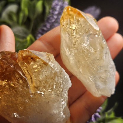 Brazilian Citrine Point, Citrine Crystal