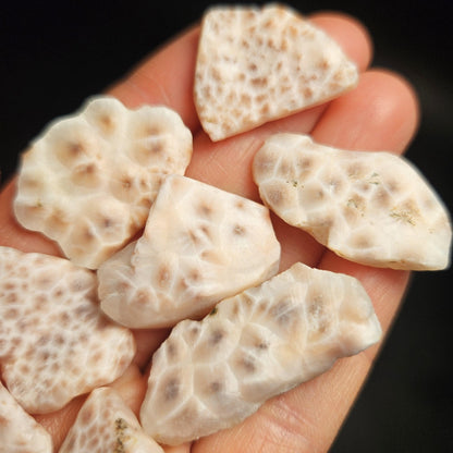 Pink Natrolite Crystal, (.75