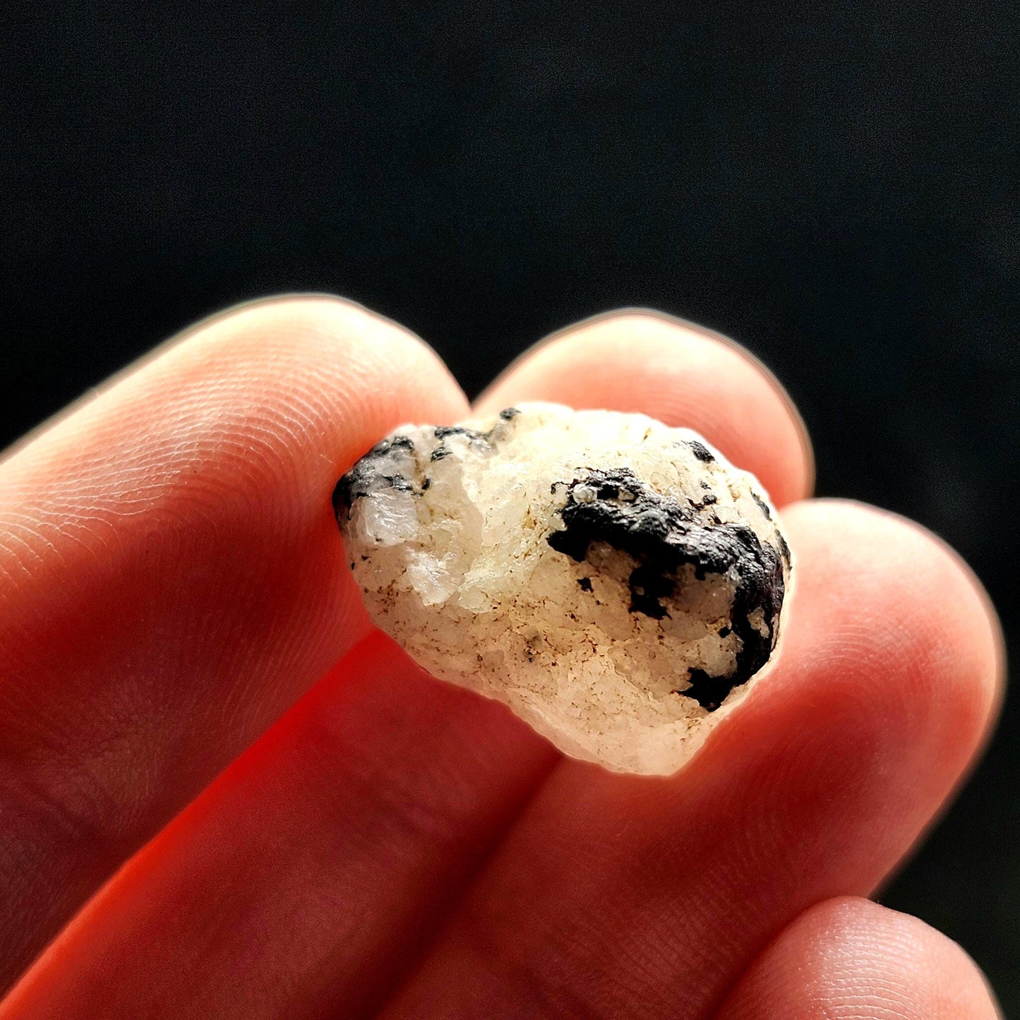 White Phenacite & Black Tourmaline Crystal 3.7g, Nigerian Phenakite with Black Tourmaline