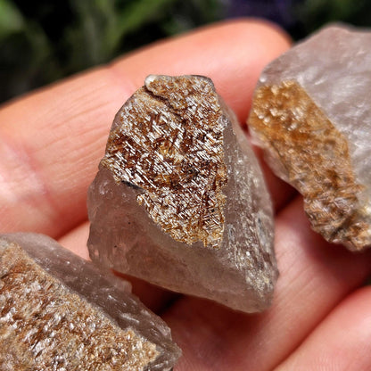 Geometric Sagenite Rutile Quartz, Brazilian Golden Rutilated Quartz
