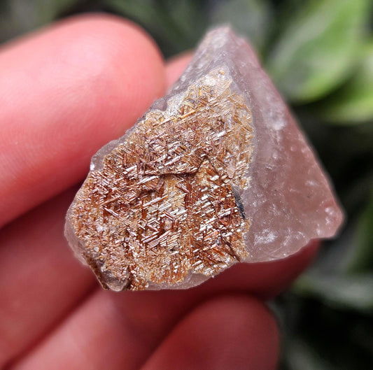 Geometric Sagenite Rutile Quartz, Brazilian Golden Rutilated Quartz