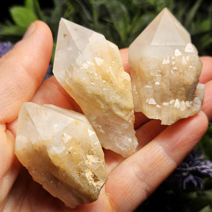 Pineapple Quartz Crystal, Madagascar Quartz Point