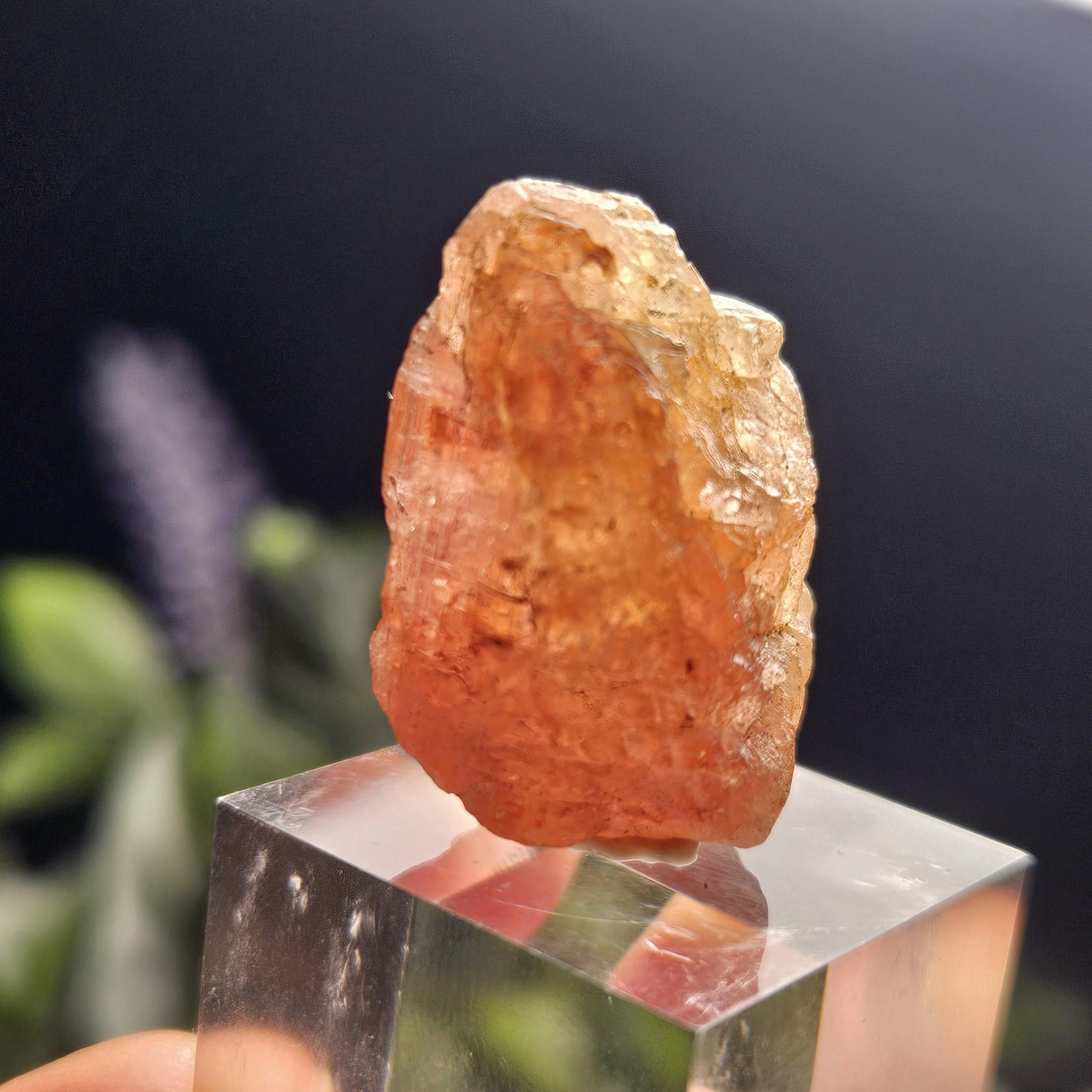 Raw Pink Topaz Crystal 13.9g, Bicolored Topaz, Ouro Preto, Brazil