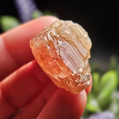 Raw Pink Topaz Crystal 13.9g, Bicolored Topaz, Ouro Preto, Brazil