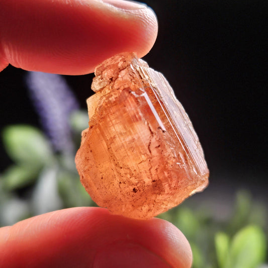 Raw Pink Topaz Crystal 13.9g, Bicolored Topaz, Ouro Preto, Brazil