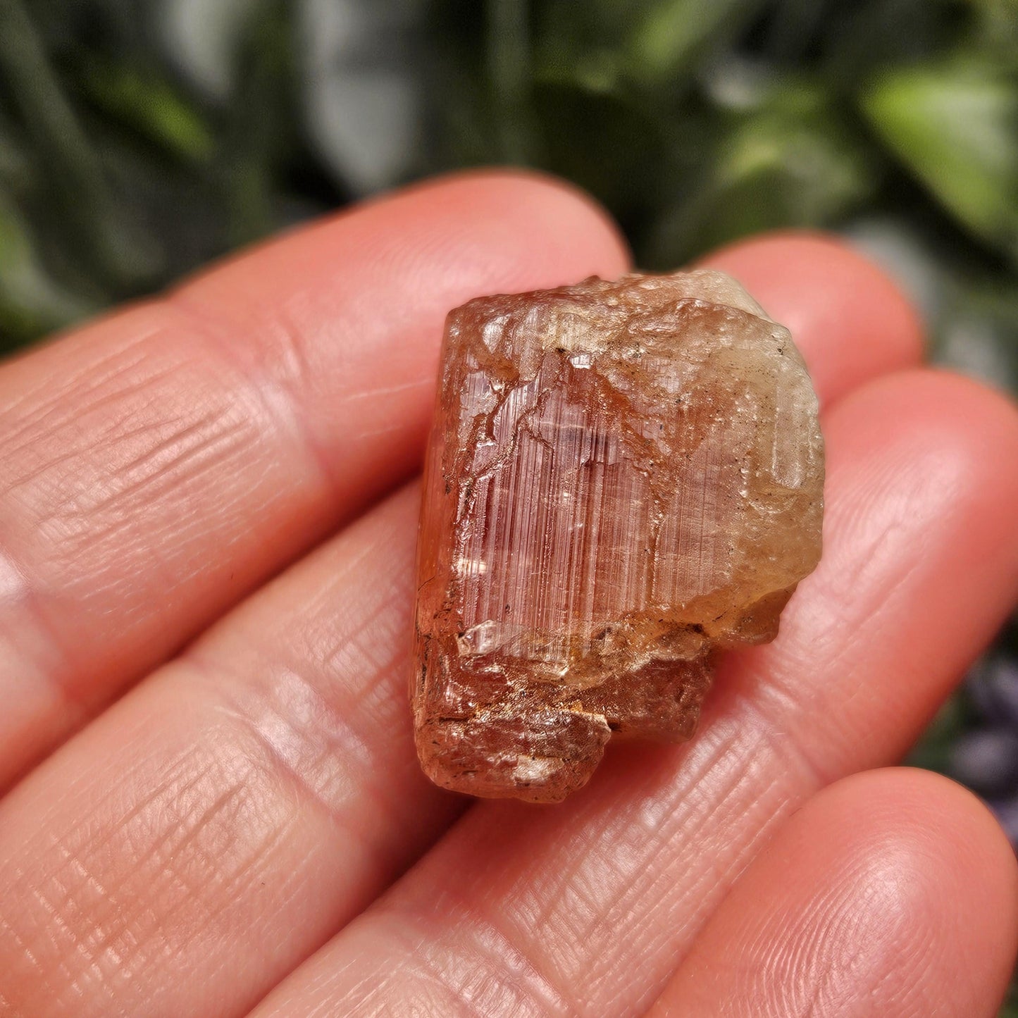 Raw Pink Topaz Crystal 13.9g, Bicolored Topaz, Ouro Preto, Brazil