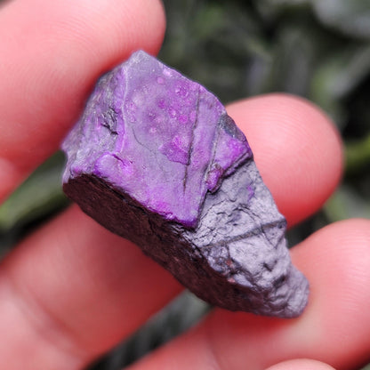 Raw Sugilite Crystal 7.95g, South African Sugilite Rough