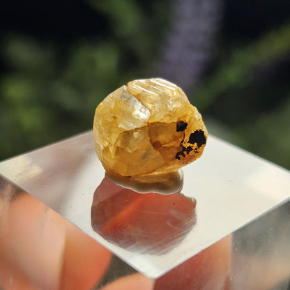 Terminated Golden Phenacite Crystal 1.38g, Nigerian Phenakite Specimen