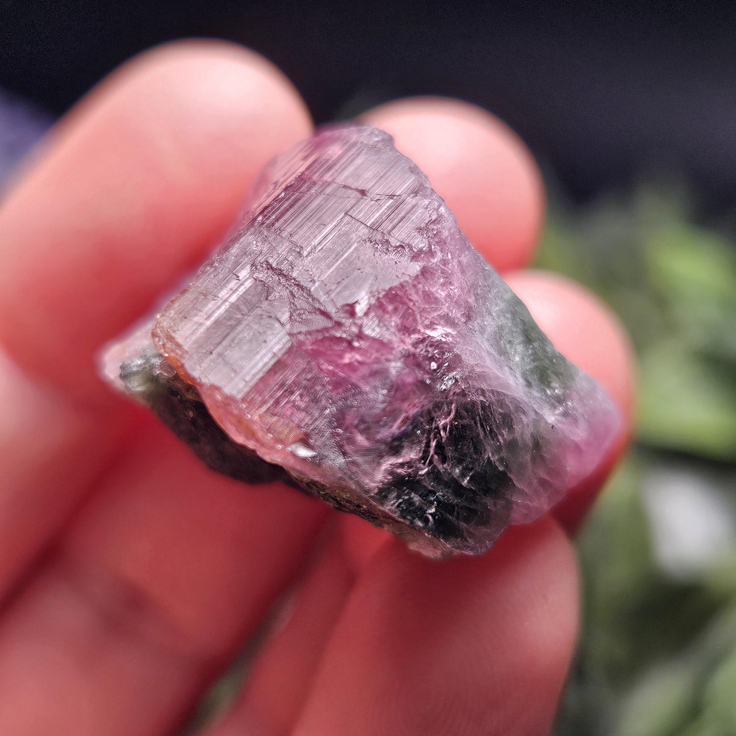 Watermelon Tourmaline 16g, Brazilian Tourmaline Raw Crystal, Green & Pink Specimen