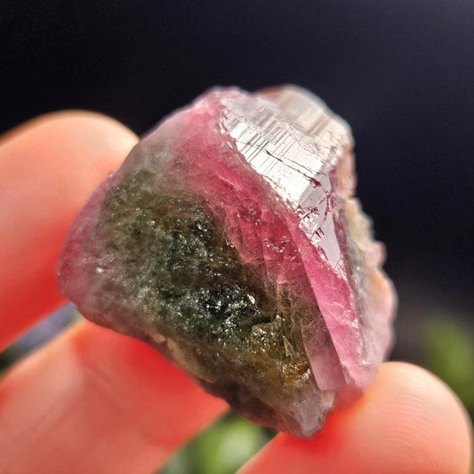 Watermelon Tourmaline 16g, Brazilian Tourmaline Raw Crystal, Green & Pink Specimen